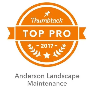 top pro badge